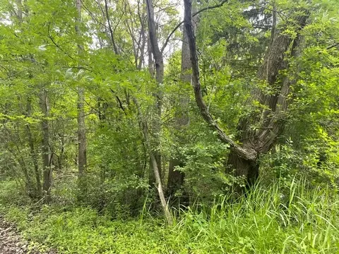 lot0 Pine St S, Mchenry, IL 60051 photo 6