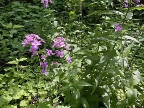 lot0 Pine St S, Mchenry, IL 60051 photo 7