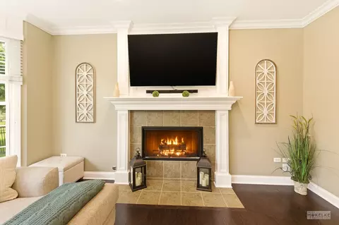 Living - 15528 Dan Patch Dr, Plainfield, IL 60544 photo 5 of 5
