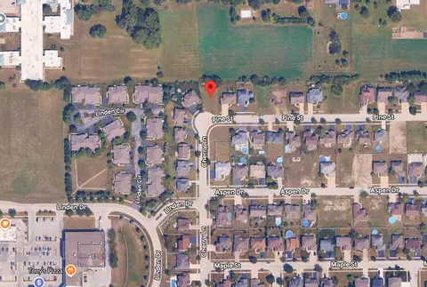 321 Pine St, Beecher, IL 60401 photo 2