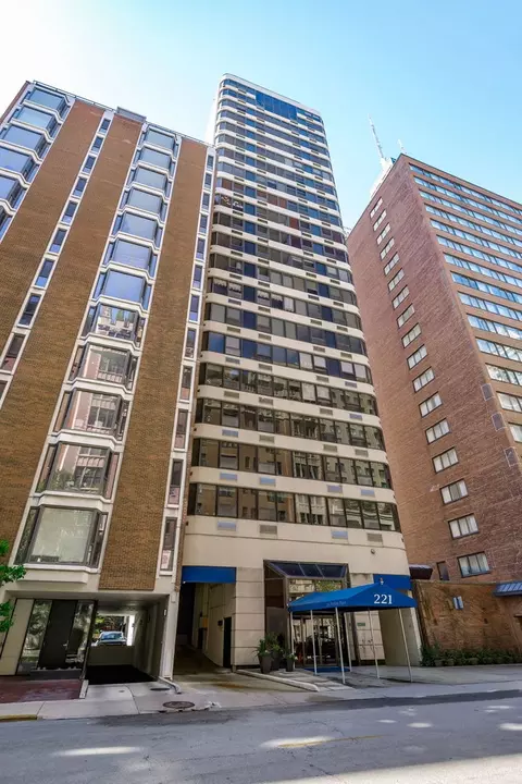 221 E Walton Pl #14B, Chicago, IL 60611