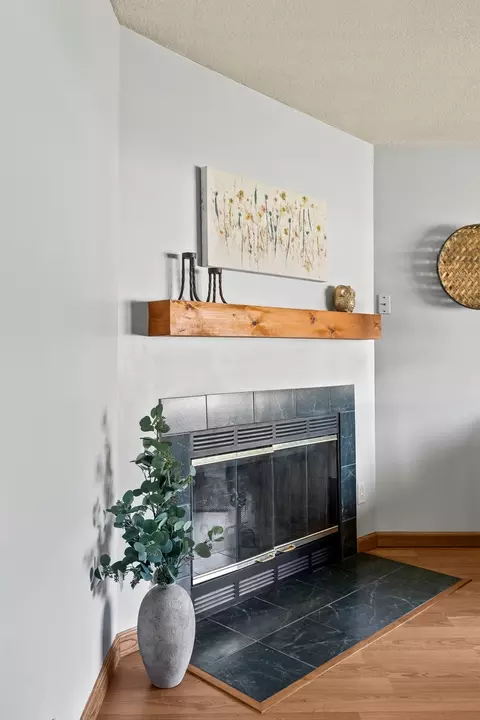 Living - 317 17th St E, Milan, IL 61264 photo 5 of 6