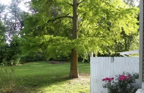 Exterior - 25 Wise St, Eldorado, IL 62930 photo 2 of 2