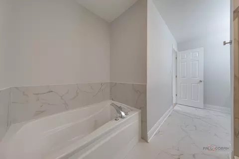 Bath - 386 Gladstone Ln, Elgin, IL 60120 photo 3 of 4