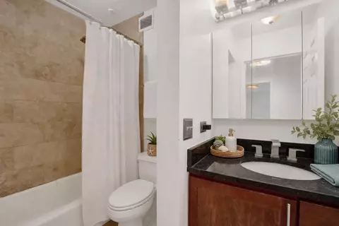 Bath - 222 E Pearson St #1401, Chicago, IL 60611 photo 1 of 2