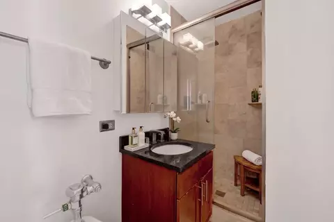 Bath - 222 E Pearson St #1401, Chicago, IL 60611 photo 2 of 2