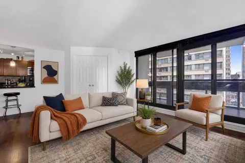 Living - 222 E Pearson St #1401, Chicago, IL 60611 photo 1 of 5