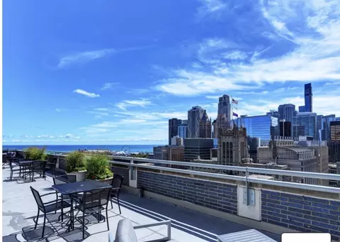 View/Area - 222 E Pearson St #1401, Chicago, IL 60611 photo 1 of 3