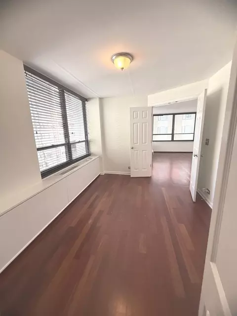 Other - 222 E Pearson St #1401, Chicago, IL 60611 photo 1 of 6