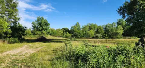 574 Caleb Rd, Braidwood, IL 60408