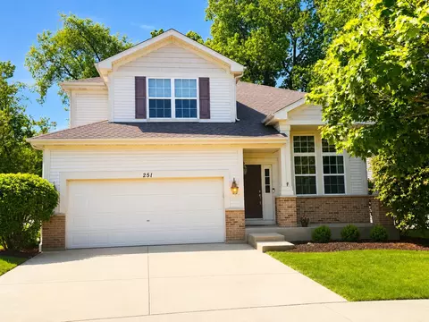 251 S Cornerstone Dr, Volo, IL 60020