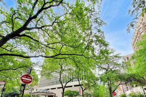 1 E Scott St #1609, Chicago, IL 60610 photo 24