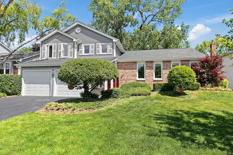 304 Carmelhead Ln, Schaumburg, IL 60193