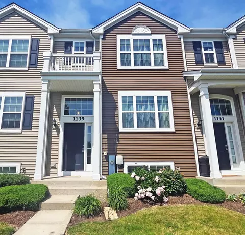 1139 Piccolo Ln, Volo, IL 60073