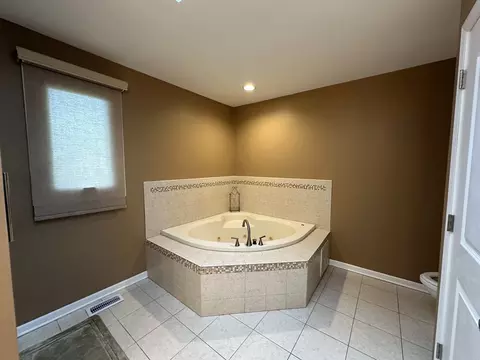 Bath - 19211 Brompton Ct, Mokena, IL 60448 photo 3 of 12