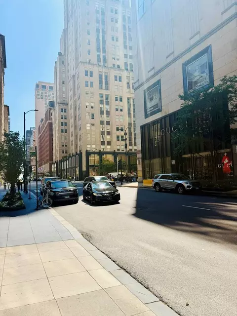 Exterior - 100 E Walton St #36D, Chicago, IL 60611 photo 2 of 3