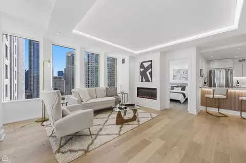 Living - 100 E Walton St #36D, Chicago, IL 60611 photo 4 of 4