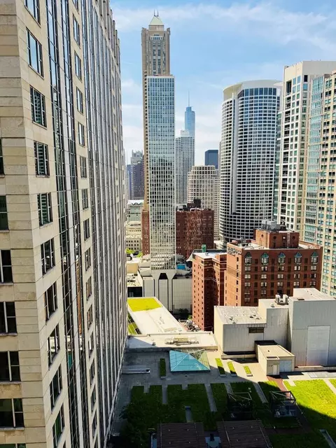Other - 100 E Walton St #36D, Chicago, IL 60611 photo 4 of 6