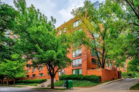 1115 S Plymouth Ct #113, Chicago, IL 60605