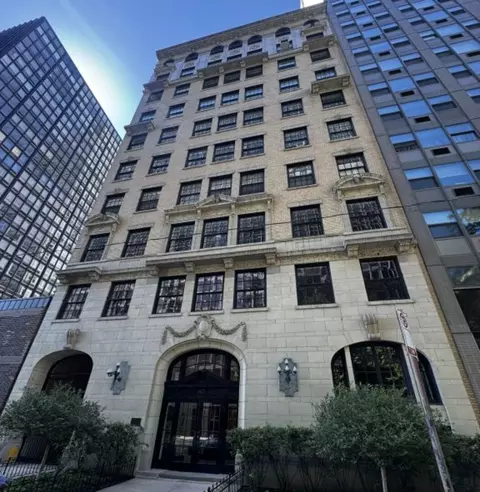 Exterior - 257 E Delaware Pl #1A2A, Chicago, IL 60611 photo 2 of 2