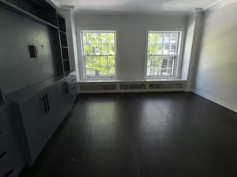 Living - 257 E Delaware Pl #1A2A, Chicago, IL 60611 photo 6 of 6