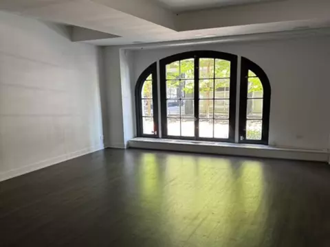 Other - 257 E Delaware Pl #1A2A, Chicago, IL 60611 photo 2 of 3
