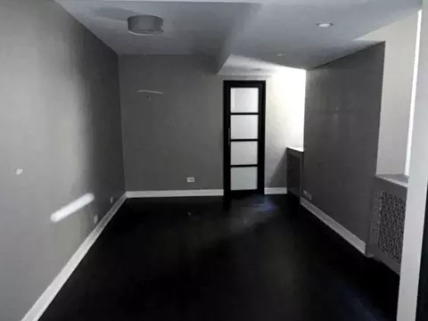 Living - 257 E Delaware Pl #1A2A, Chicago, IL 60611 photo 3 of 6