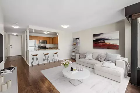 Living - 30 E Huron St #4905, Chicago, IL 60611 photo 4 of 5