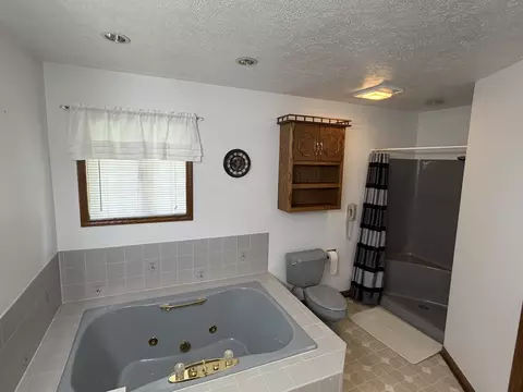 Bath - 1804 Bruce St, Morris, IL 60450 photo 3 of 4
