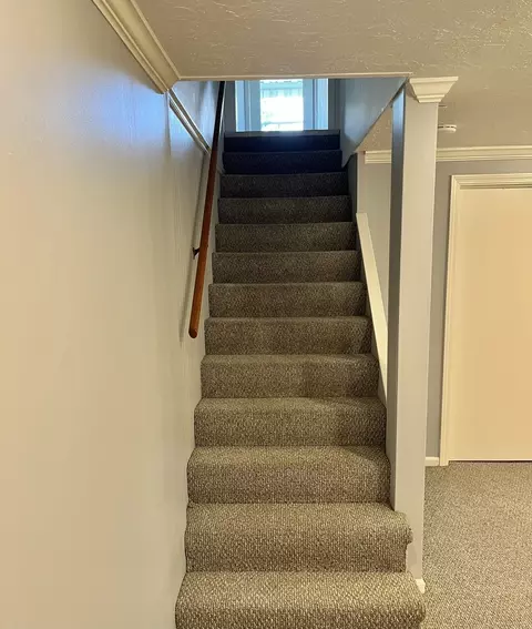 Entry Way - 426 E Vallette St, Elmhurst, IL 60126 photo 1 of 1