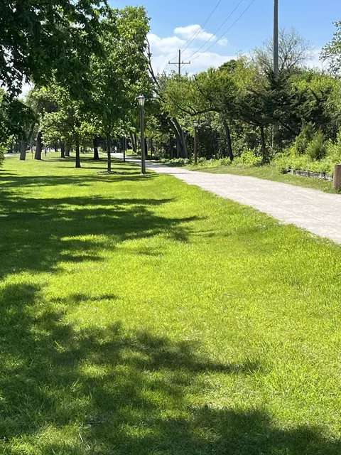 Exterior - 426 E Vallette St, Elmhurst, IL 60126 photo 3 of 3