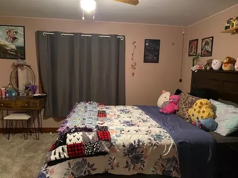 Bedroom - 4373 E 250th Rd, Mendota, IL 61342 photo 2 of 4