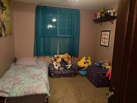 Bedroom - 4373 E 250th Rd, Mendota, IL 61342 photo 3 of 4