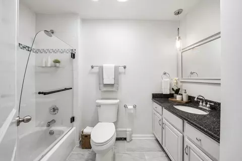 Bath - 835 Maple Rd, Flossmoor, IL 60422 photo 3 of 3