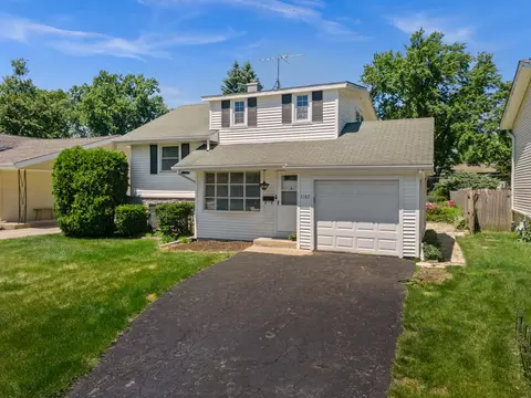 Exterior - 1107 Elm St, Wheaton, IL 60189 photo 3 of 9