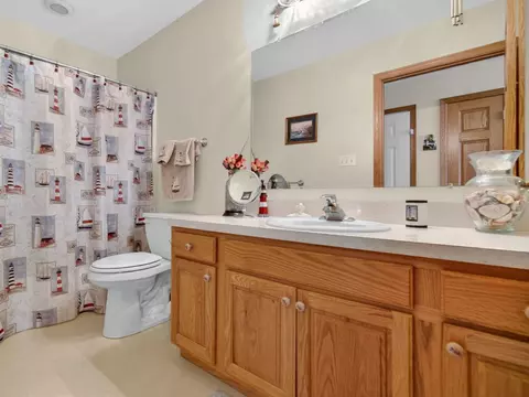 68 Oregon Trl, Coal City, IL 60416 photo 28