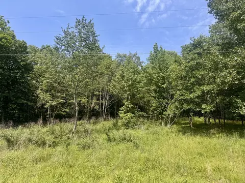 000 Shawnee Dr, Goreville, IL 62939