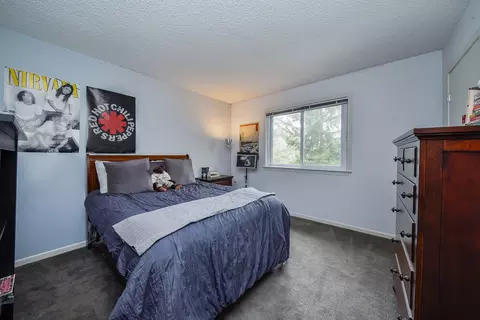 Bedroom - 1925 Coach Dr, Naperville, IL 60565 photo 3 of 4