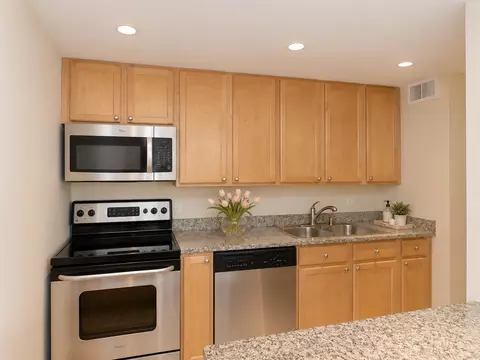 30 E Huron St #4607, Chicago, IL 60611 photo 4