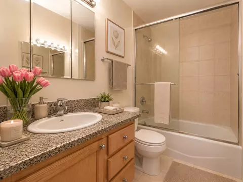 30 E Huron St #4607, Chicago, IL 60611 photo 8