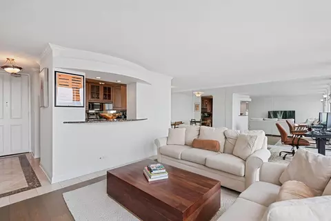 Living - 111 E Chestnut St #55D, Chicago, IL 60611 photo 5 of 5