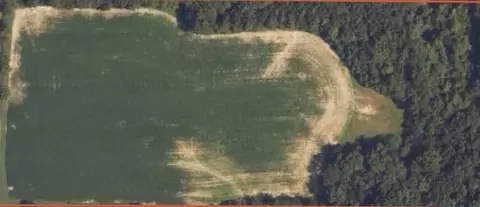 Other - 0 Landmark Rd, Iuka, IL 62899 photo 3 of 25