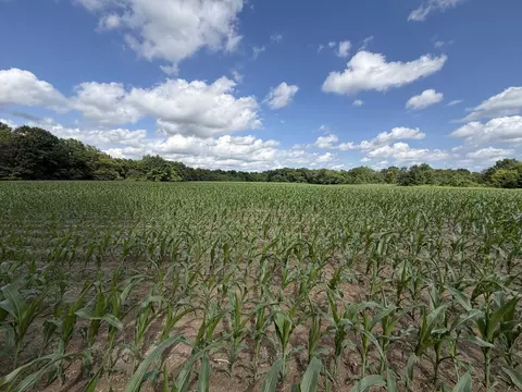 Other - 0 Landmark Rd, Iuka, IL 62899 photo 2 of 25