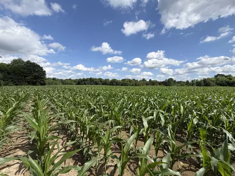 Other - 0 Landmark Rd, Iuka, IL 62899 photo 4 of 25