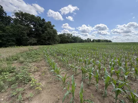 Other - 0 Landmark Rd, Iuka, IL 62899 photo 16 of 25