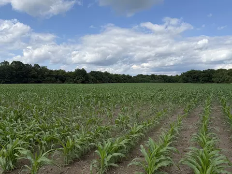 Other - 0 Landmark Rd, Iuka, IL 62899 photo 9 of 25
