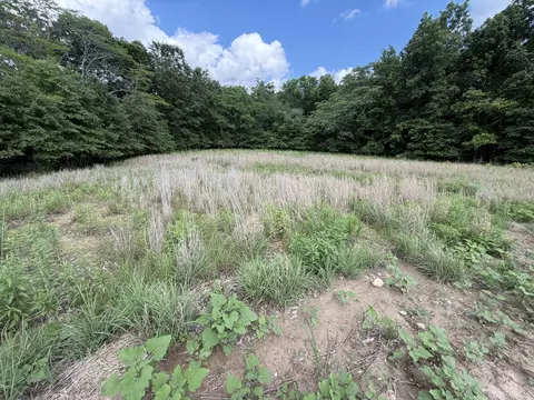 Other - 0 Landmark Rd, Iuka, IL 62899 photo 17 of 25