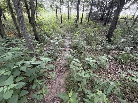 Other - 0 Landmark Rd, Iuka, IL 62899 photo 22 of 25