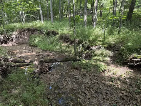 Other - 0 Landmark Rd, Iuka, IL 62899 photo 19 of 25