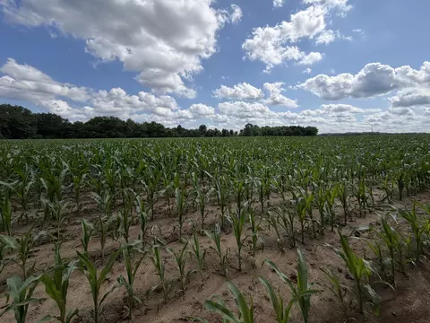 Other - 0 Landmark Rd, Iuka, IL 62899 photo 14 of 25